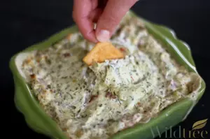 Spinach Dip Recipe