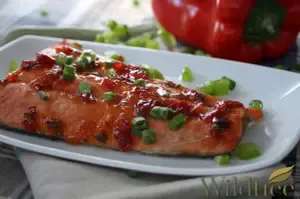 Salmon Recipes