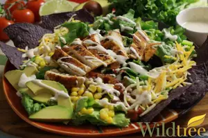 Taco Salad Recipe