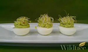 Holiday Appetizers